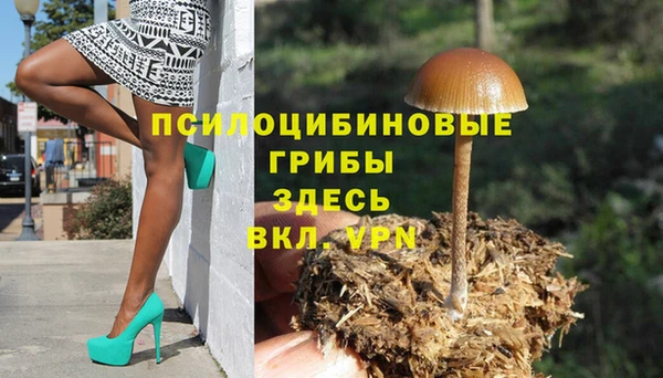 скорость Алексин