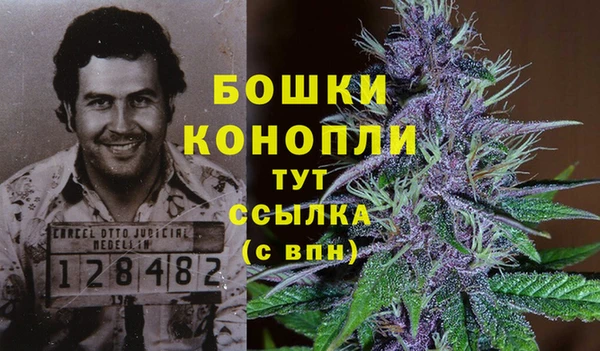 гидра Арсеньев