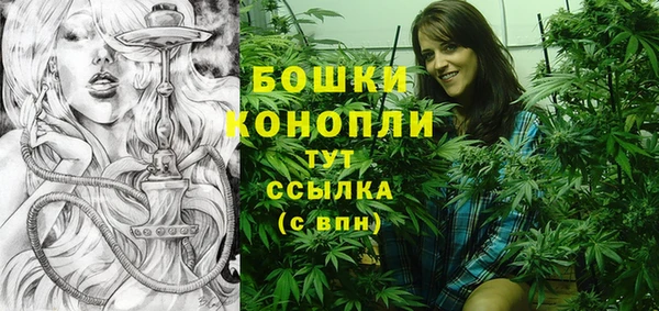 мдпв Майский