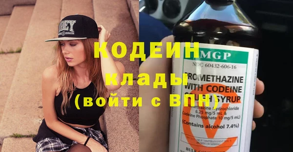 PSILOCYBIN Алзамай