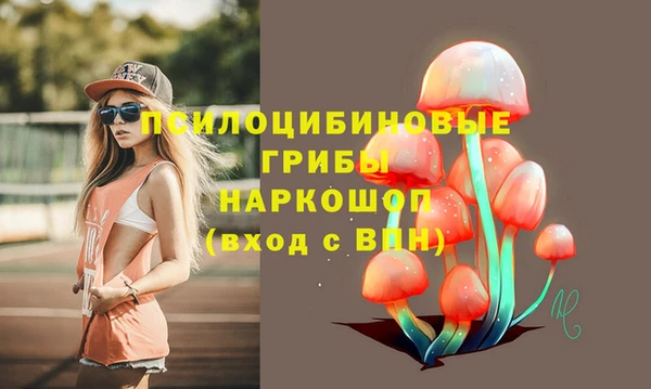 a pvp Армянск