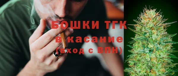 PSILOCYBIN Алзамай