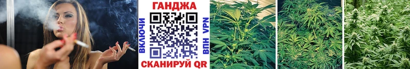 Канабис сатива kraken как войти площадка наркотические препараты купить наркоту Долгопрудный
